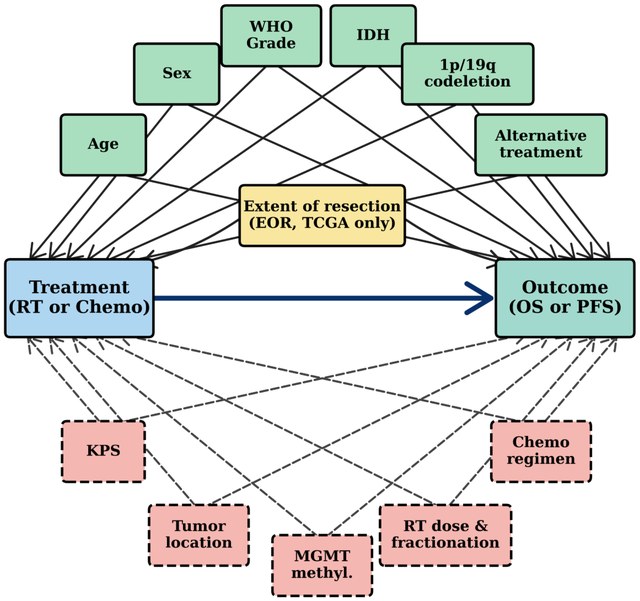 Causal ML for gliomas