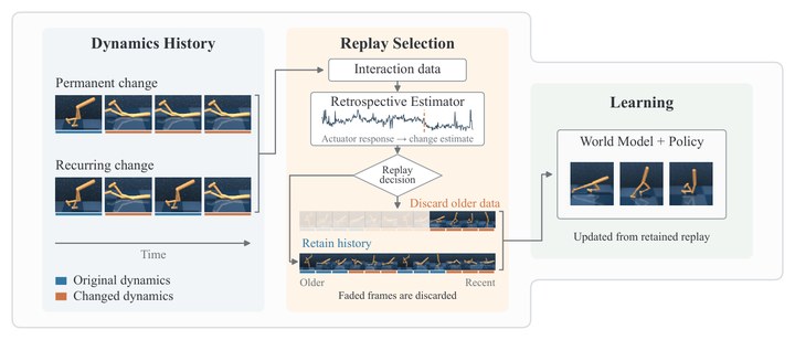 Replay Retention Under Dynamics Shift